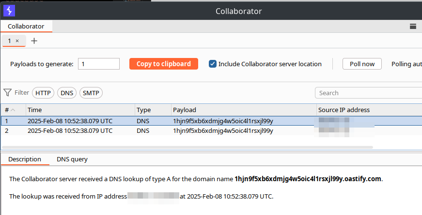 DNS callback in collaborator